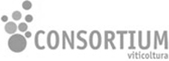 Consortium