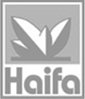 Haifa